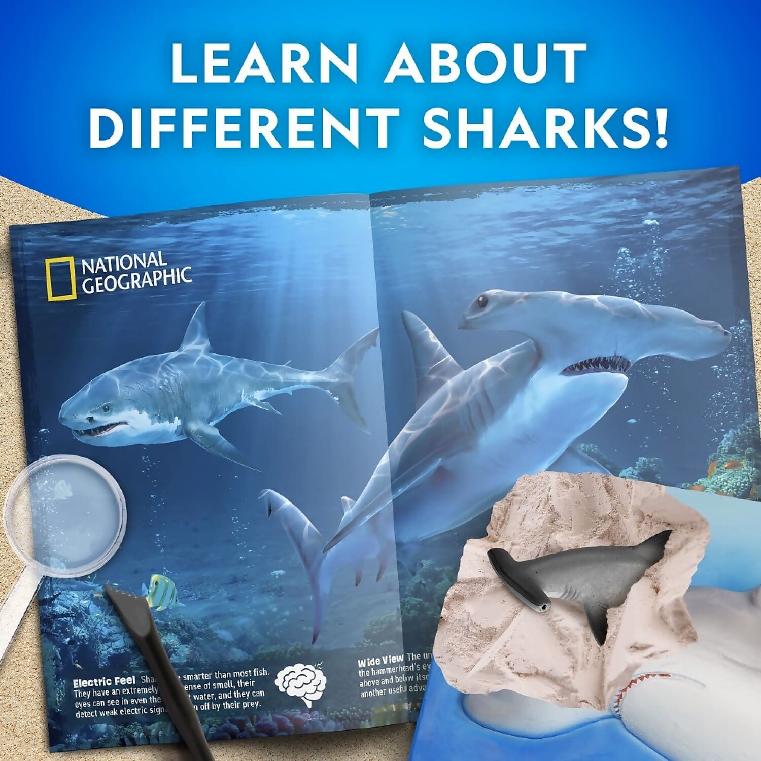 National Geographic - Shark Dig Kit - Image 2