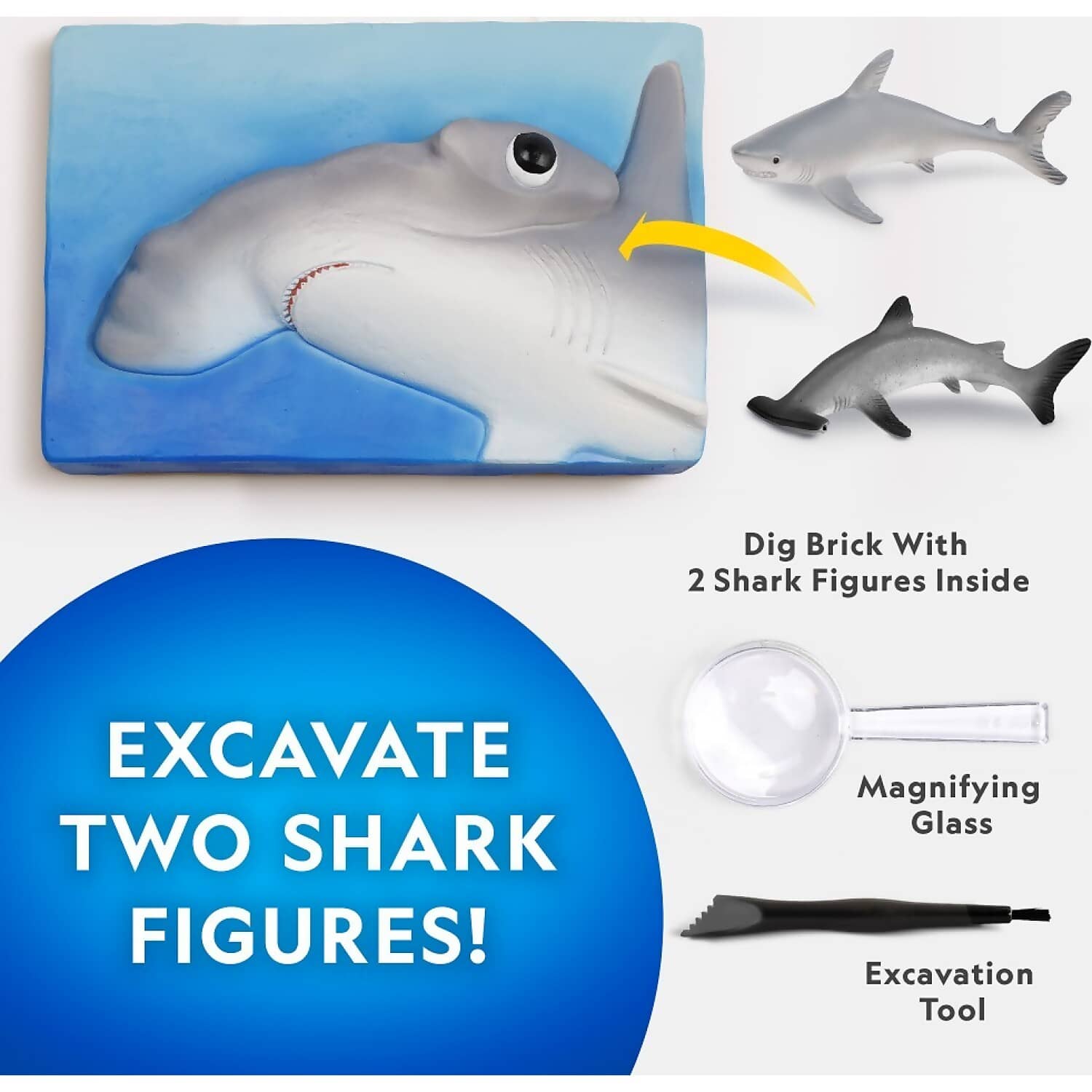 National Geographic - Shark Dig Kit - Image 3