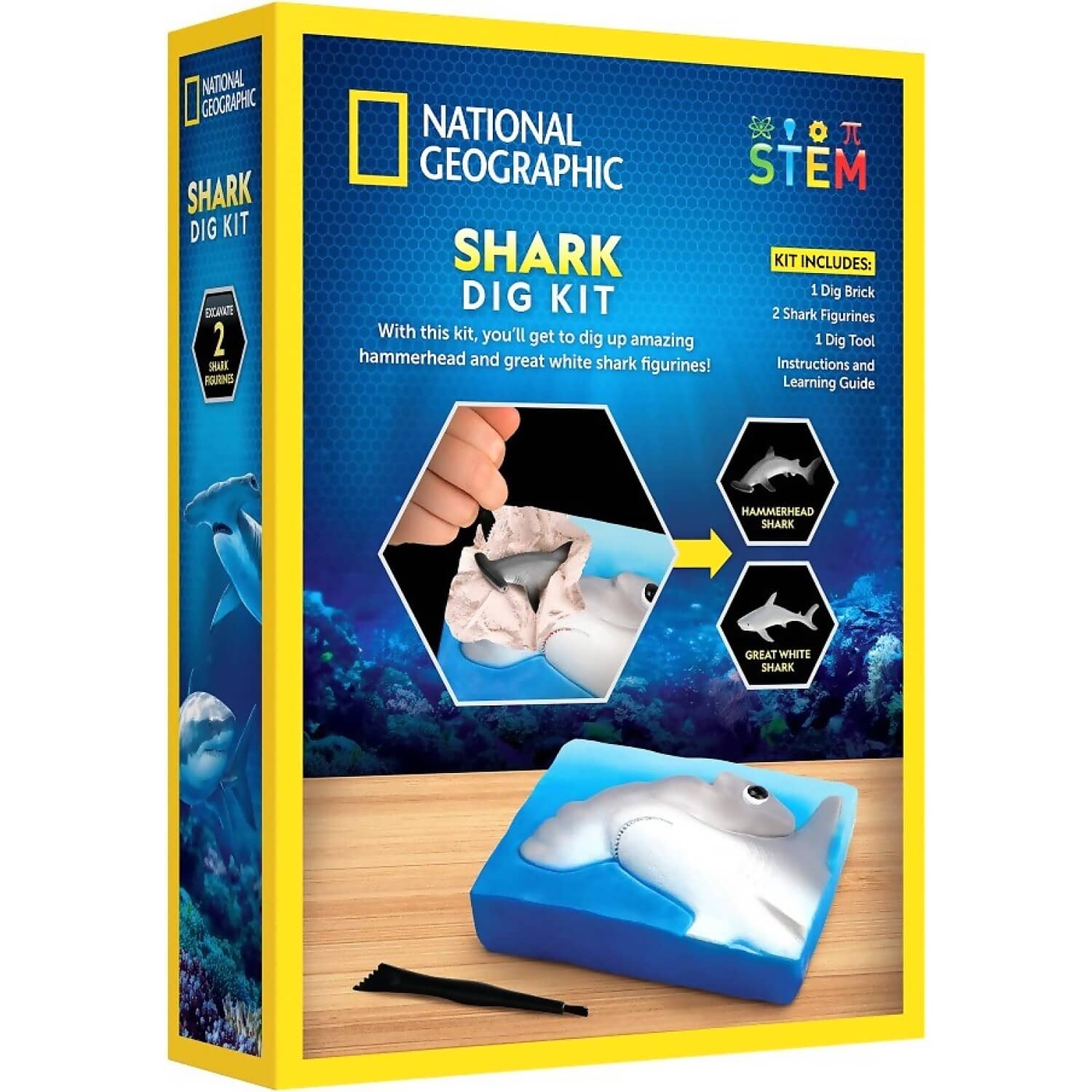 National Geographic - Shark Dig Kit - Image 4