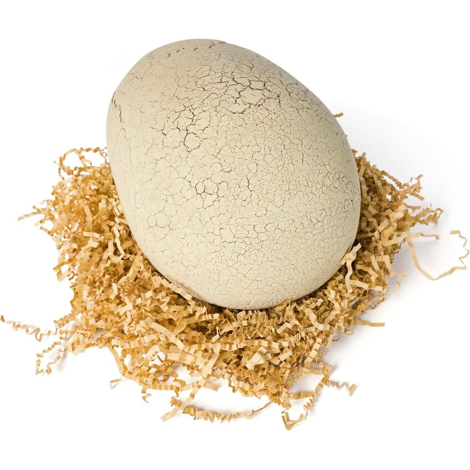 Jurassic World - Primal Hatch T.Rex Interactive Toy Dinosaur & Egg - Image 7