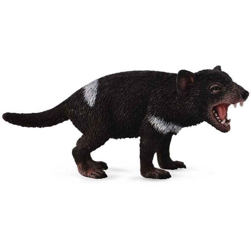 CollectA - Tasmanian Devil Australian Medium Animal Figurine
