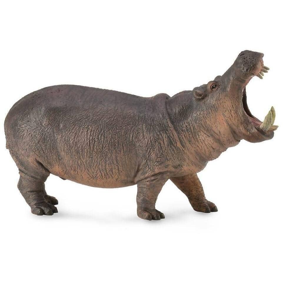 CollectA - Hippopotamus Extra Large Animal Figurine