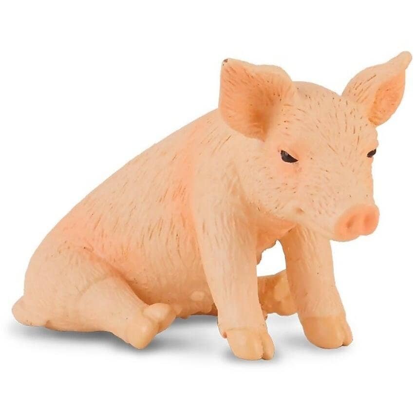 CollectA - Piglet Sitting Animal Small Figurine