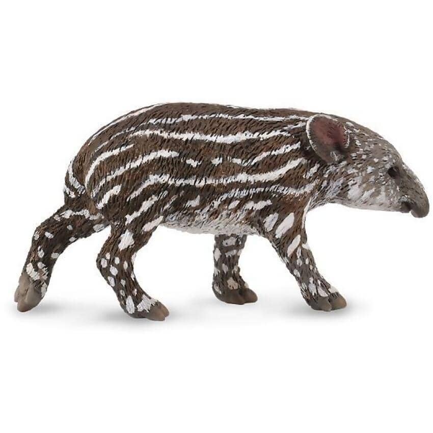 CollectA - Bairds Tapir Baby Small Wild Animal Figurine