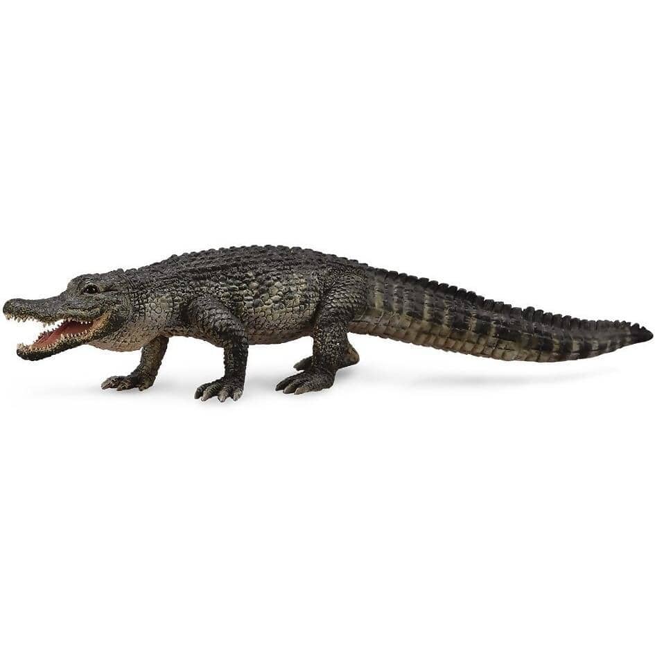 CollectA - American Alligator Large Animal Figurine