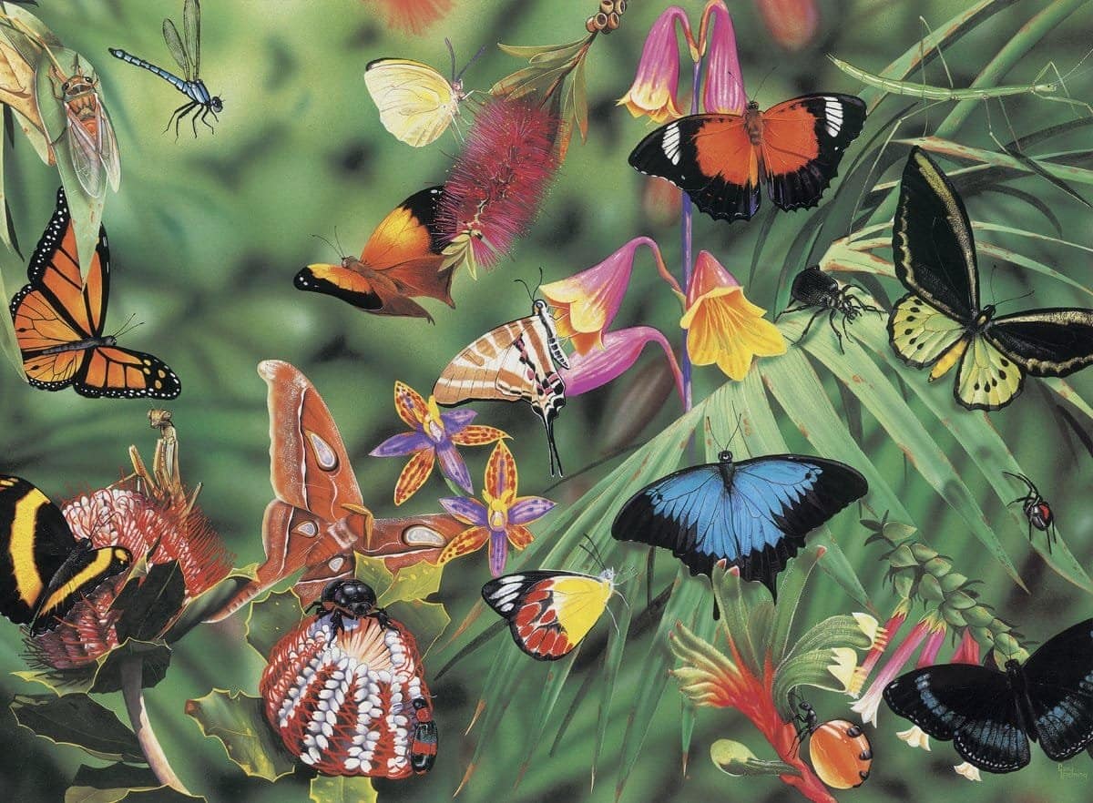 Blue Opal - Wild Australia Butterflies & Beetles Jigsaw Puzzle 100 Pieces - Image 3