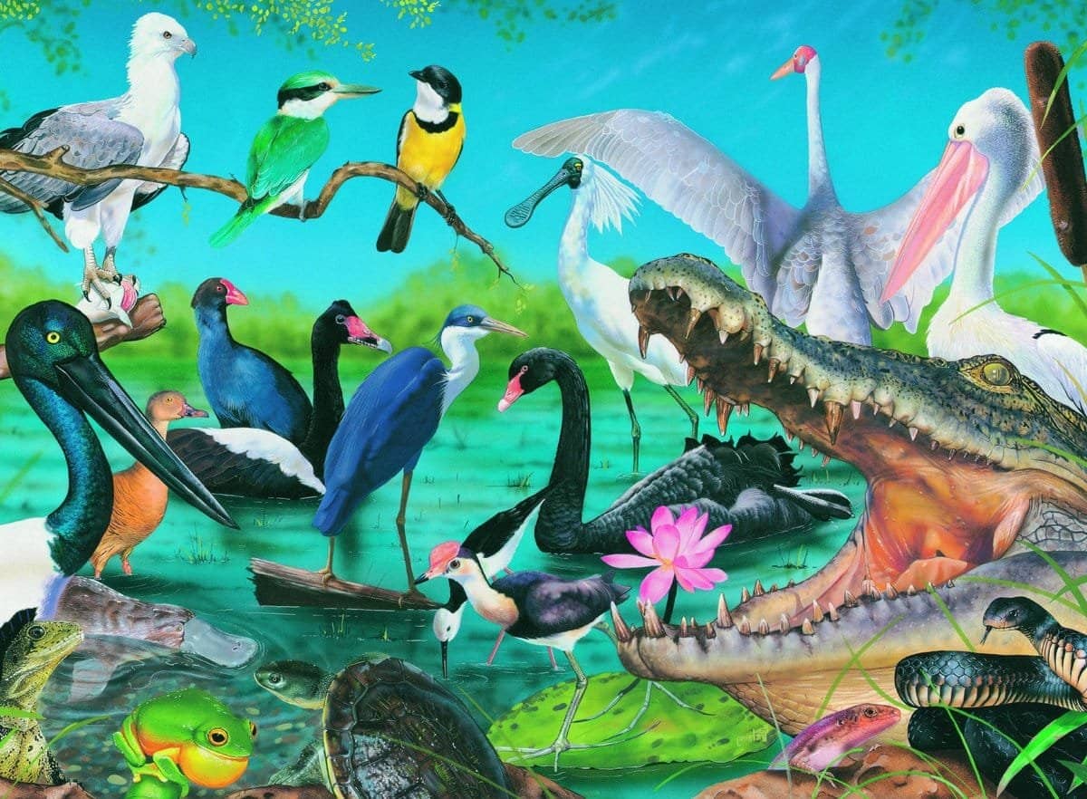 Blue Opal - Wild Australia Wetlands & Marshes Jigsaw Puzzle 150 Pieces - Image 2