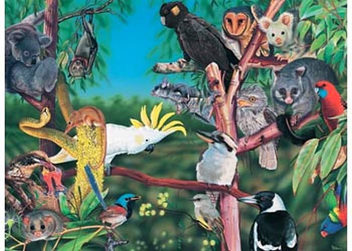 Blue Opal - Wild Australia In The Treetops 300 Pieces Jigsaw Puzzle - Image 4