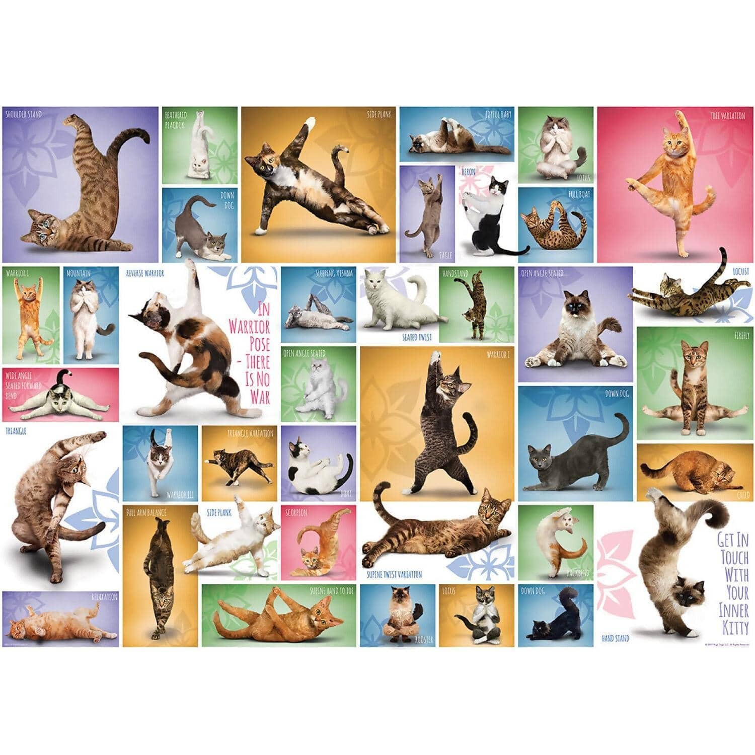 Eurographics - Yoga Cats - Jigsaw Puzzle 1000 Pieces - Image 3