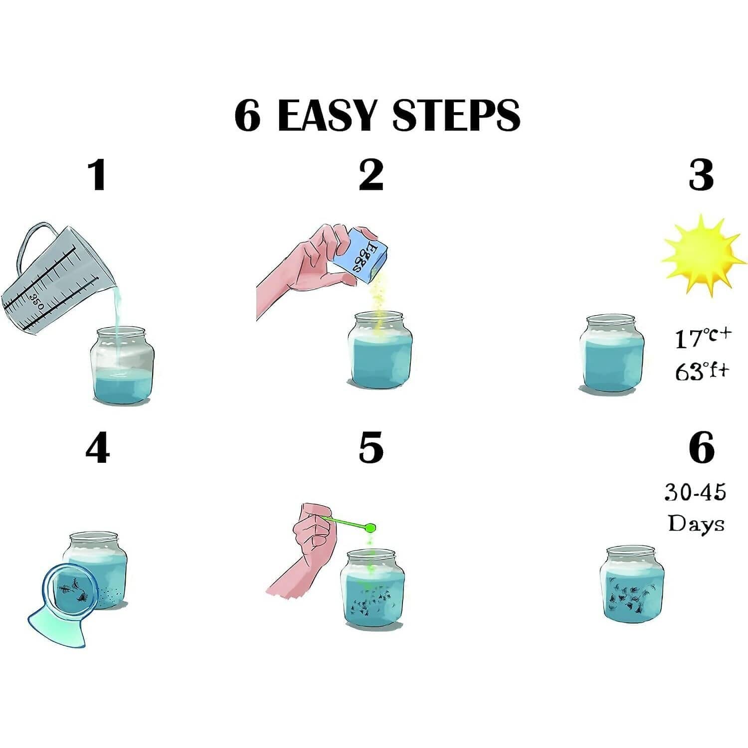 Aqua Dragons - Aqua Dragons Refill Kit Eggs And Food - Image 5