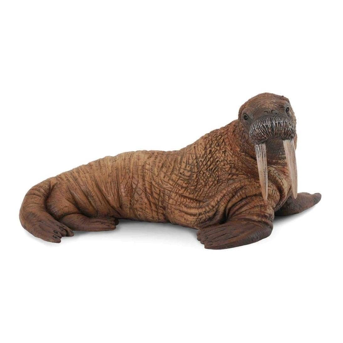 CollectA - Walrus Large Ocean Animal Figurine
