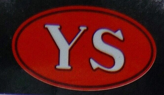 E1224 YS ENGINE PART PISTON DZ170CDI - Image 4