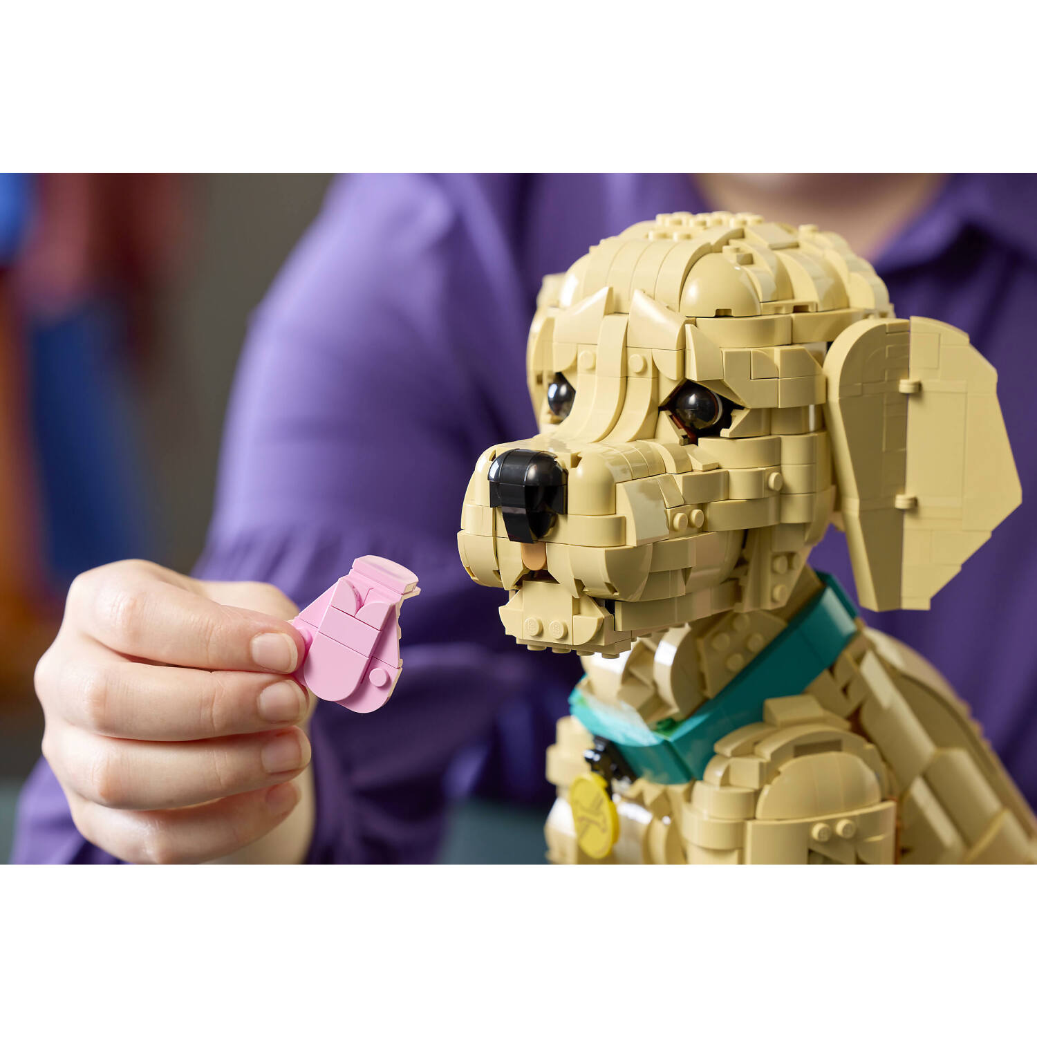 LEGO 11384 Golden Retriever Puppy - Icons - Image 12