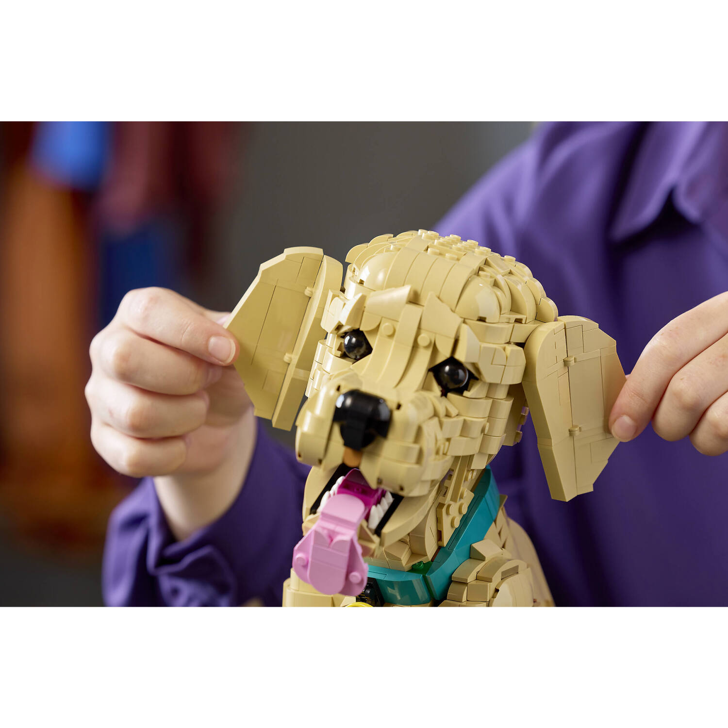 LEGO 11384 Golden Retriever Puppy - Icons - Image 14