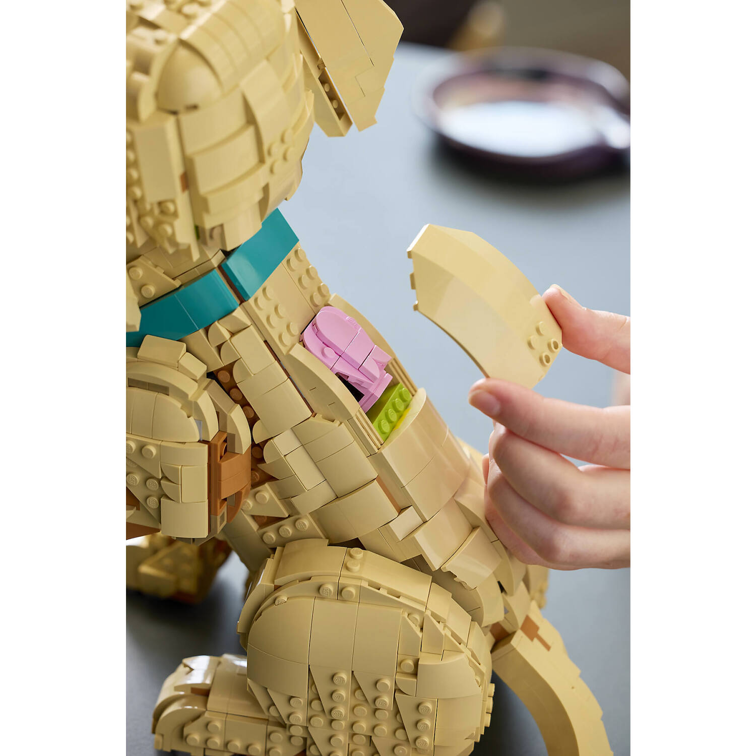 LEGO 11384 Golden Retriever Puppy - Icons - Image 15