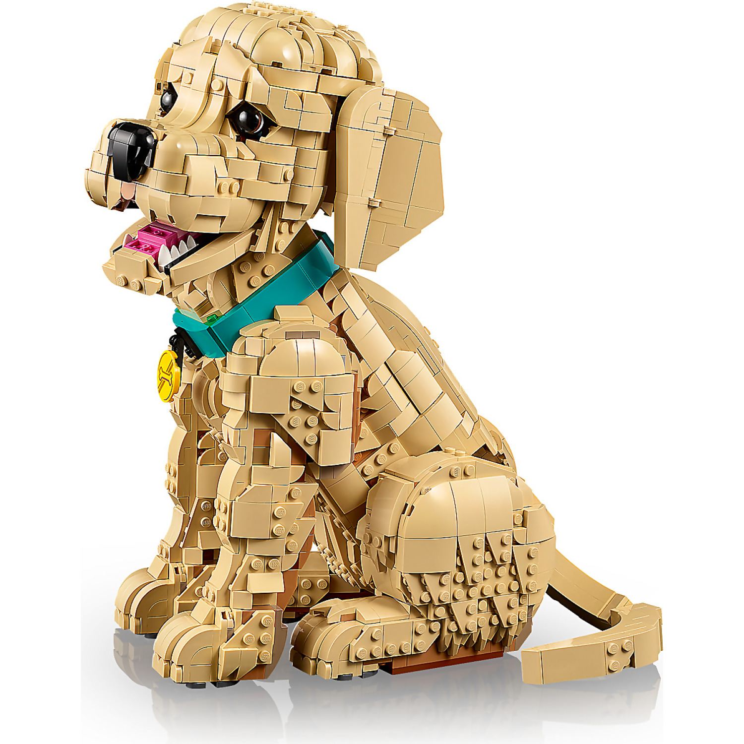 LEGO 11384 Golden Retriever Puppy - Icons - Image 7
